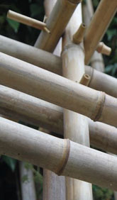Bambuskonstruktionen und Verbindungen